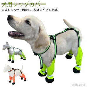 yzrߖh~ h~ h~  veN^[ ~ h MXu[c pV[Y pu[c TXy_[