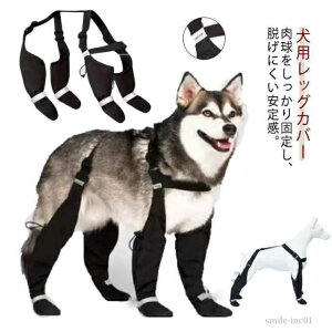 yzXgb` ˃e[v ߉\ ^ ^ EȂ ~ Xy_[tppc pu[c pbOJo[