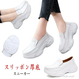 yzʊw ʋ zCg EH[LOV[Y TChSA 5cmq[ Xj[J[ fB[X  Xb|