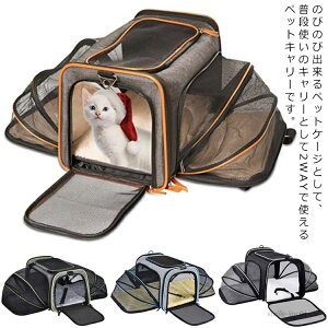 yzQ[W p ybgL[ L  L[ L[obO   h L[obO L L[P[X 