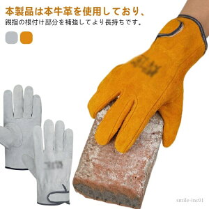 yzLvO[u  Lv ϔM ϔMO[u o[xL[ BBQ Ɨp  O[u {v v ω΃O[u