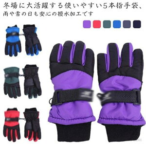 yzh 5w h ~  V Xm[{[h XL[ XL[O[u q Xm[O[u WjA LbY Xm[