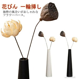 yzIuWF u }  hCt[  ԓ ֑} Ԃт ԕr ubN zCg  t[x[X