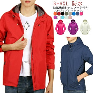 yzX WPbg  AE^[ WbvAbv h h  Y jO y EChu[J[ t t[ht