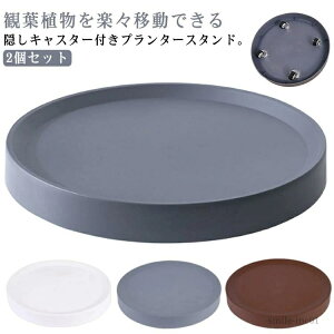yzLX^[tM A gC g[ 25.5cm v^[  BLX^[  v^[X^h LX^[t