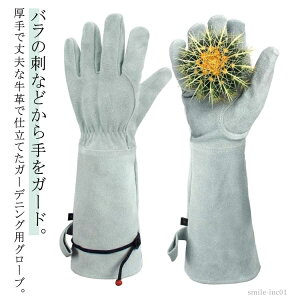 yzo oO[u Ƃh~ op Y  KNp fB[X o  KNO[u gQ O |p