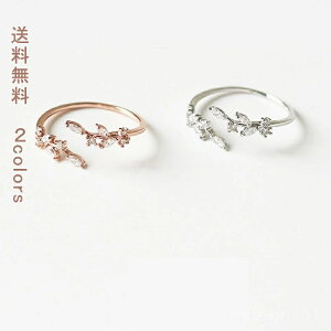 yz Mtg v[g a w Z  킢   ޏ  fB[X ؂̎} ؂̗t d˂Â 