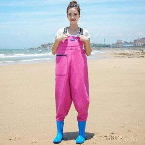 yz22.5cm ` 25.0cm k C cA Y  NX d EF[_[ `FXgnCEF[_[ ނ C h n Vv