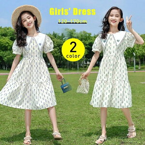 yz fB[X ؍ 8Έȏ 120~170 V[Y av[g q s[X t t@bV 킢q