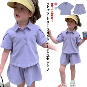 yz㉺Zbg t xr[ |Vc W[W {gX  ̎q  q j̎q  tVc q ZbgAbv