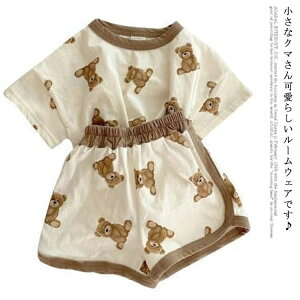 yzLbY xr[  ZbgAbv  [EGA TVc  Zp  q j̎q ̎q ㉺Zbg 