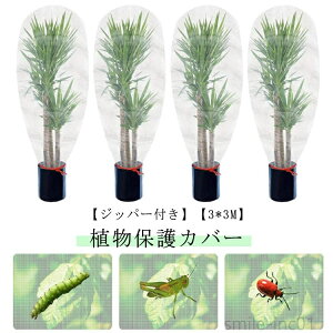 yzhlbg 悯 DIY  x_ AیJo[ |plbg t@Xi[t Wbp[t 3*3M Aی hlbg
