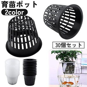 yzA   琬 c ~ e  Aؔ bV|bg 30Zbg k͔||bg c|bg