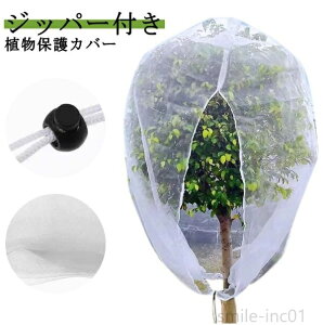 yzx_ AیJo[ hlbg Ap  |plbg ؍͔| t@Xi[t Aی hlbg Wbp[t