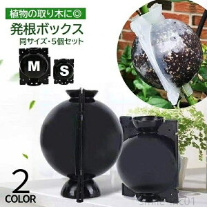 yzubN }  |pi K[fjO ȒPt u  ɐB A ؃{[ 5Zbg {bNX