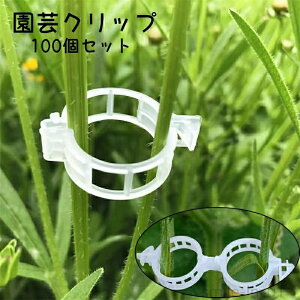 yzT|[g }   A K[fjO | vX`bN x Nbv UNbv |pi 100Zbg |Nbv