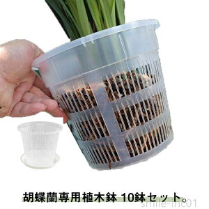 yzۈ牀|bg Aؔ  ̔ Ӓ̐Aւ vX`bN t 10Zbg  O  c|bg