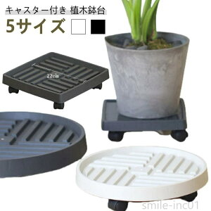 yzړԑ  ړ | g[ u  LX^[  v^[gC O v^[ t[X^h