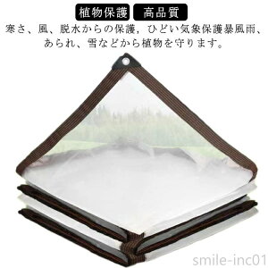 yzό h ܂肽 hV[g O A fMV[g  ؉ 2x3m ۉ rj[ Jo[ ~  [vt