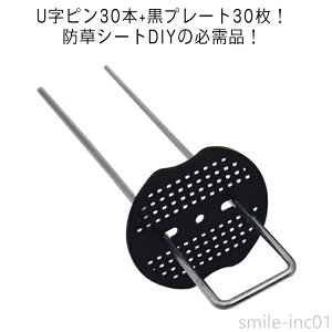 yzhV[gs Œp hV[g V[g Us s U^ wAsY lHŗp R^s 30{Zbg }Y