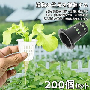 yz~` c^ ؍͔| A͔| |  K[fjO A k͔|oXPbg k͔|   35 25