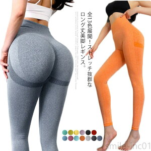 yzg[jOMX fB[X X|[cEGA {gX KMX Kpc rMX KMX KEGA O