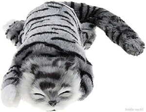 yzϋvƃj[X - [΂L̓f̂dqybgʂ݃MtgpLbYCeA