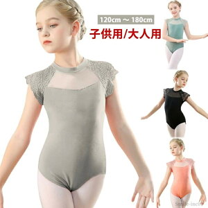 yzXJ[gȂ ʋC ̑ oG K oGEFA oGI^[h qǂ LbY l 120cm _X