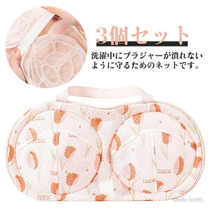 【送料無料】型崩れ防止 型崩れ対策 洗濯機 ドラム式 枠付き メッシュ生地 ブラジャーネット 3個セット ブラジャー専用 洗濯ネット
