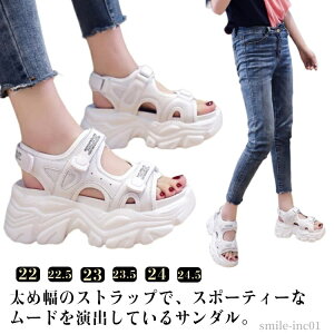 yz ₷  Xj[J[T_ fB[X Xj[J[T_ ɂȂ 8cmq[ T_ X|[cT_