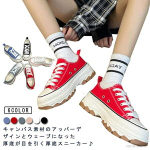 yzC [Jbg ʊw 킢 gAbv C  Xj[J[ EF[u\[ ؍  fB[X Xj[J[