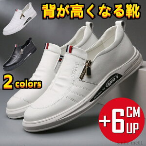 yzrWlXV[Y gAbvV[Y Xb|V[Y YC V[NbgV[Y 6cmUP wȂC