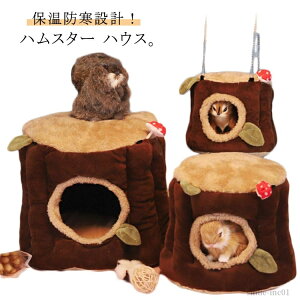 yz nX^[ z nX^[  A nEX _炩 ybgNbV h[^ Q  bg Q