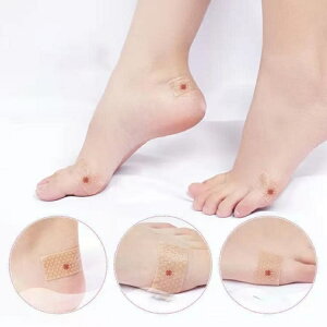 yzʋC ɂ݊ɘa CYh~ ɂ݌y ƃpbh Ch~ Se[v یpbh VR C\he[v 2