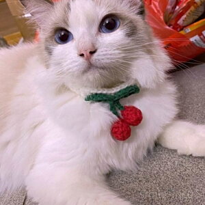 yzʐ^Be \ ANZT[  qL ybgObY  т 킢 ^ ^  L jbg