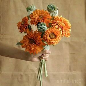 yzlHA ItBX Lb` 뉀 z[ p Be ԑ  H  CeA A  q} Ђ܂