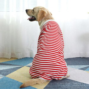 yzbgpi ybg ̕ Jo[I[  g[i[ Wp[ ^Ngbv ^ ^ ybg   hbOEFA