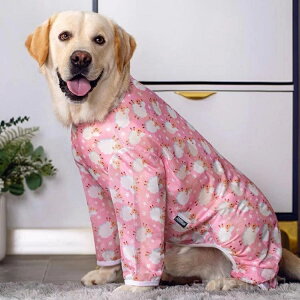 yzEFA ̎q j̎q  hbOEFA ֐ߕی ё΍ Ȃߖh~ ^ ^ hbOEFA bV Jo[I[