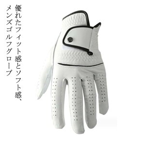 yzʋC Mtg v[g g₷ ~ JWA Stpi  St p Xgb` Ȃ zCg  Y r St StO[u 