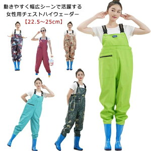 yzk  d NX  Y C C cA C t[^[ EFA  h ނ EF[_[ bVOEF[_[