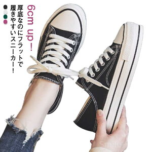 yzr Vv Jt ɂȂ ₷ Xj[J[ y Xb| wlC 6cm Ȃ T_ Cq[ T