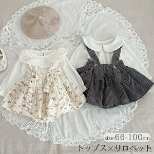 yzxr[ Tybg LbY ZbgAbv gbvX  ԕ uEX 傫݂  p[X q Ԃ Sj