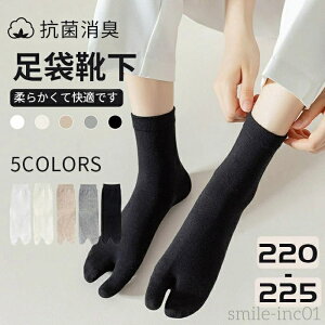 yz2Zbg ܃\bNX fB[X Y 2{w C ܌^ {w \bNX C V[Y [ N[  Rbg Ro AEghA T_