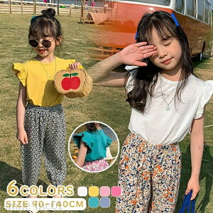 yzLbY TVc  ̎q q ʉ JWA ʊw c w TVc tăR[f g[i[ [EFA  Rbg Vc  ʉ