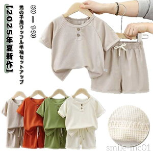 yzj̎q ʋC Y{ ZbgAbv LbY  TVc q n ㉺Zbg n[tpc q z JWA Vv EGXgS 