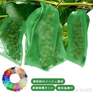 yz25Zbg Ԃǂ 񂲑 ʕlbg 25 ʕ یlbg hlbg ʋC bV 悯 悯 т  C`S ʎp hlbg ʕی