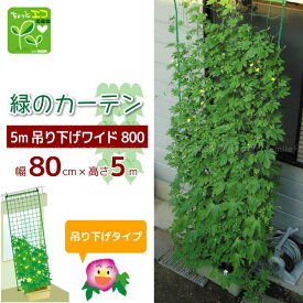 楽天市場 緑のカーテン パイプの通販