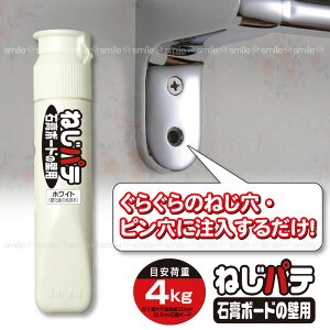 素材 補修材 ねじパテ 石膏ボードの壁用 Ng 01の人気商品 通販 価格比較 価格 Com
