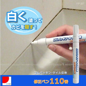 SpbLE^Cڒn Cy110 FP-207y|Xgz