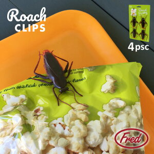 SLuNbv 4 / yʗX֑zSLu Nbv G  A tFCN  hbL [A Fred